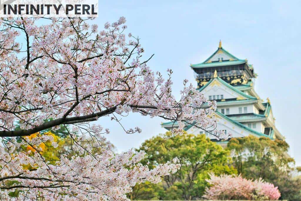 Capture of Osaka Castle surrounded by beautiful cherry blossoms during spring. A stunning blend of nature and architecture.